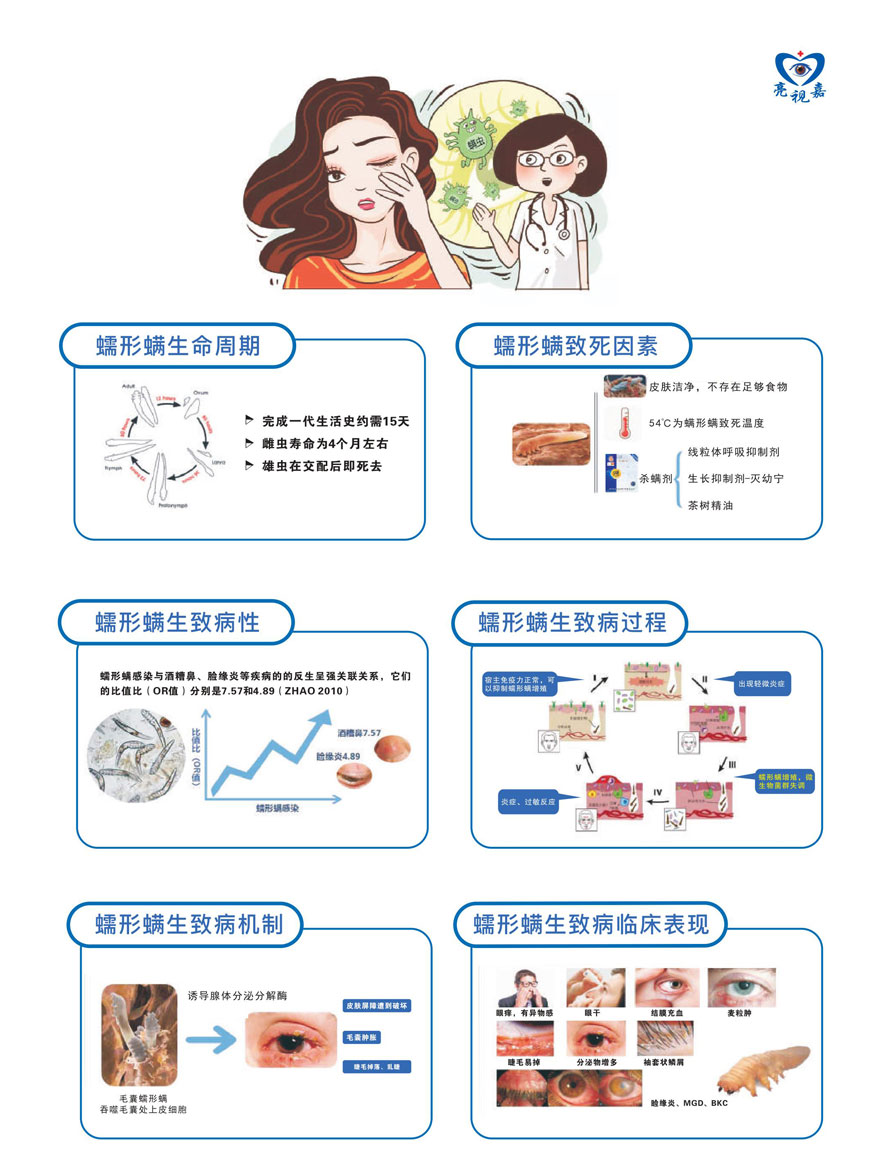 (干眼門診文宣)蠕形螨簡(jiǎn)介及治病因素