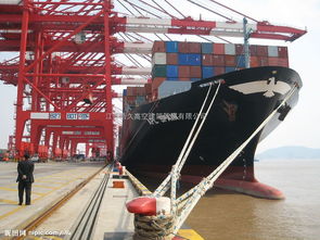 專業(yè)高架、龍門及碼頭吊車防腐服務(wù) 全面防護(hù)與價(jià)值解析